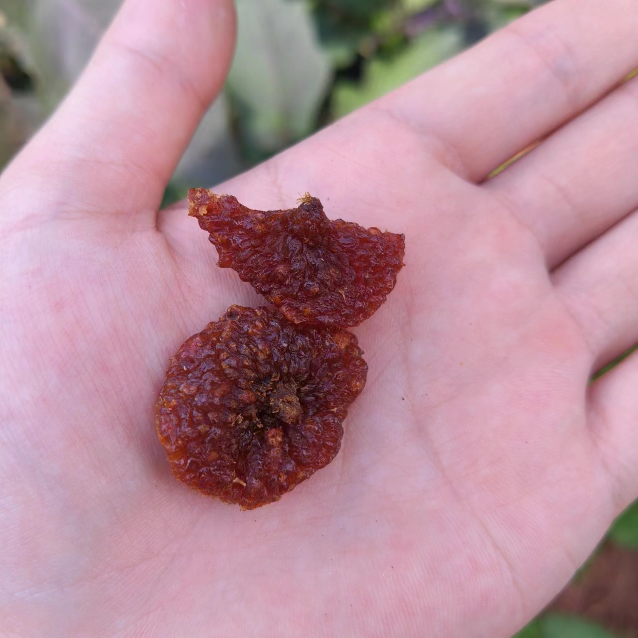 刺梨果圃-【净含量】250g
