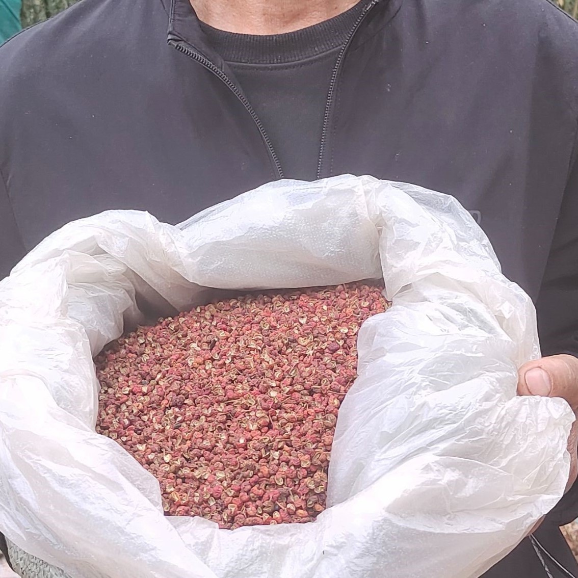大红袍花椒【净含量100g】