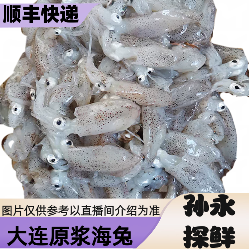 【海兔】大连野生小海猫(干冰速冻发货)掉秤百分之五左右