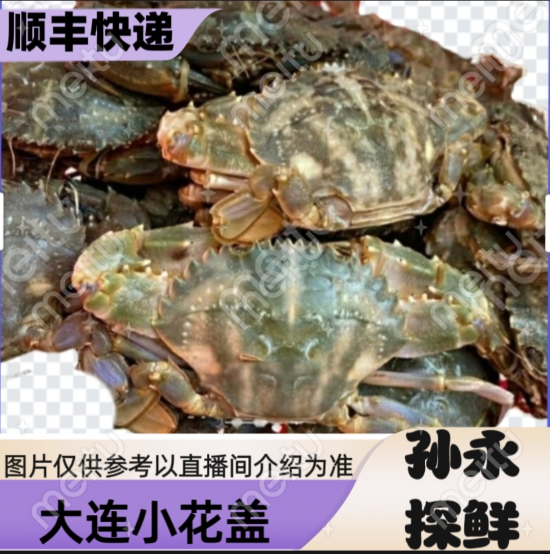 【孙永探鲜】大连当地小花盖（现场称重计费）