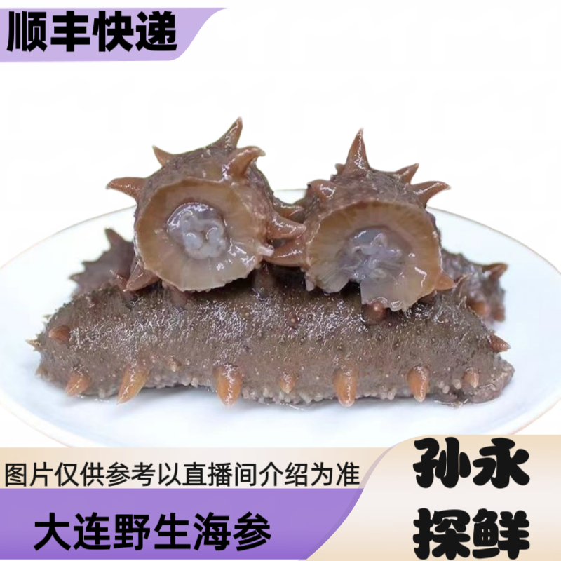 【孙永探鲜】大连野生鲜海参(现场称重)