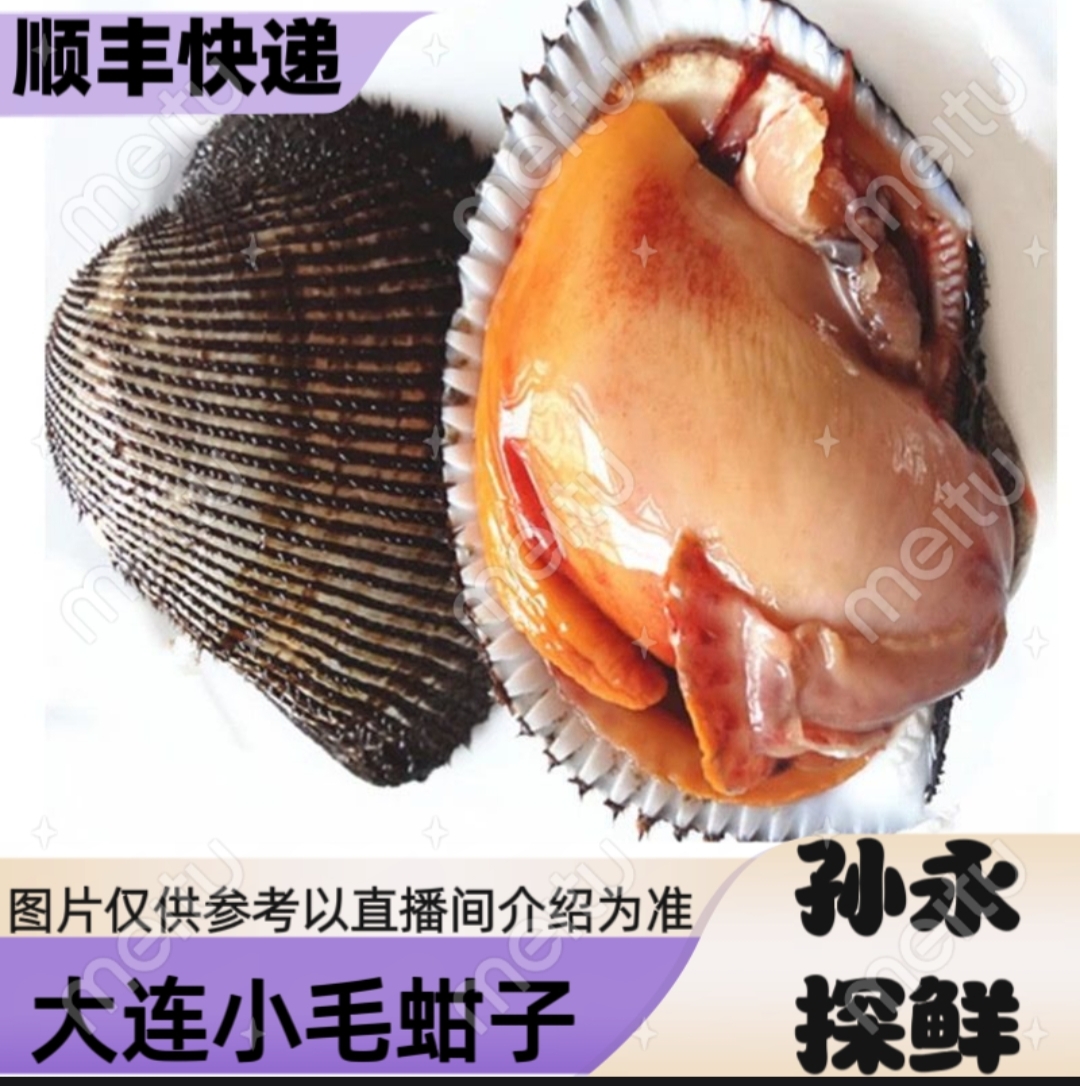 【孙永探鲜】大连当地小毛蚶子(带壳发)