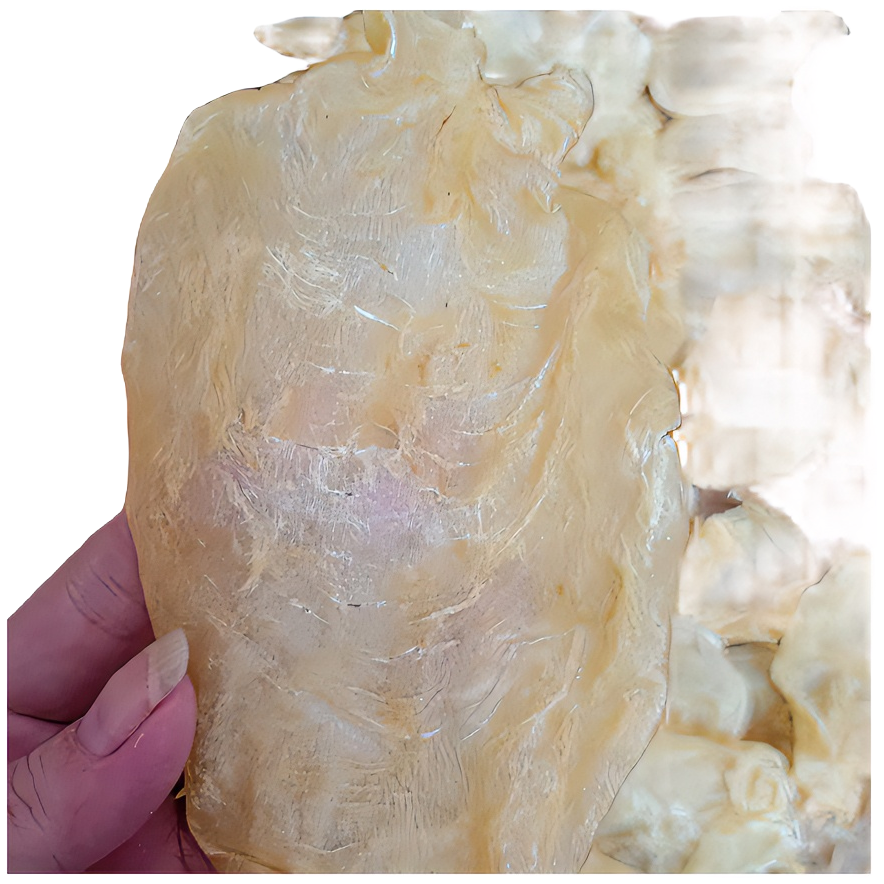 广东蔡琴食品商行 甲肚.蜘蛛鱼胶 清润 清水