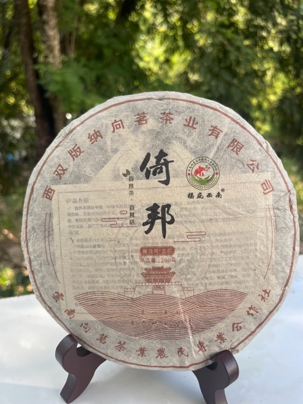 古六大茶山——倚邦细叶，2024年头春普洱生茶。