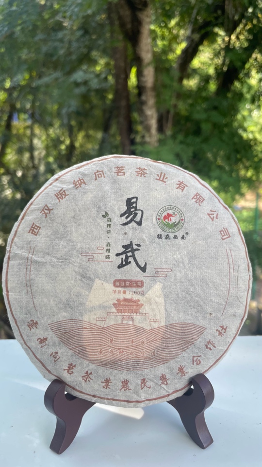 向茗茶业——易武。2024年普洱生茶