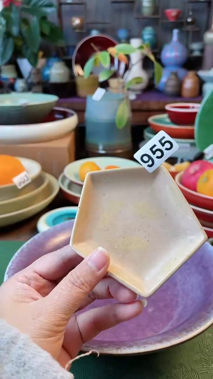 【闪购商品】陶瓷碗碟子955