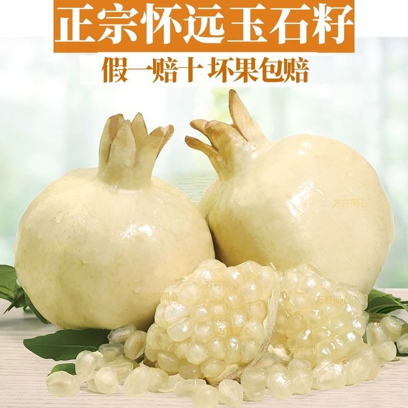 怀远白花玉石籽石榴6/7两大果10斤装，坏果包赔