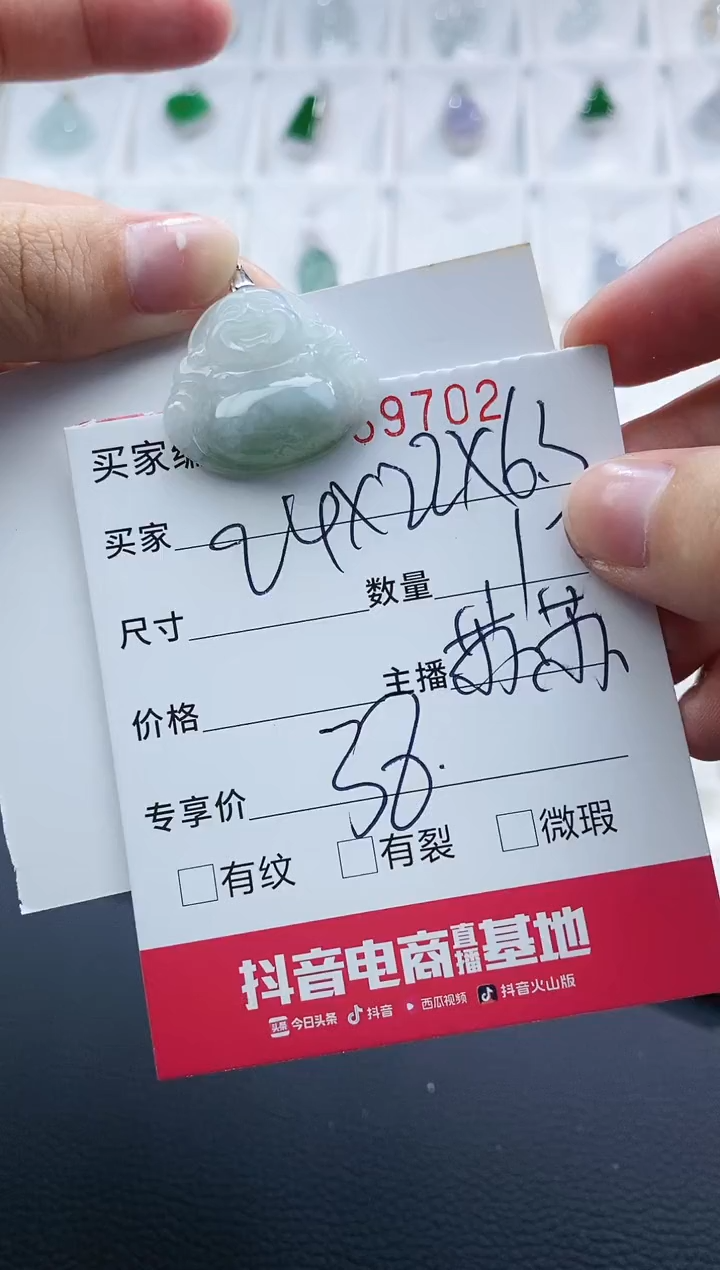【闪购商品】翡翠颈饰银S925镶嵌0069702