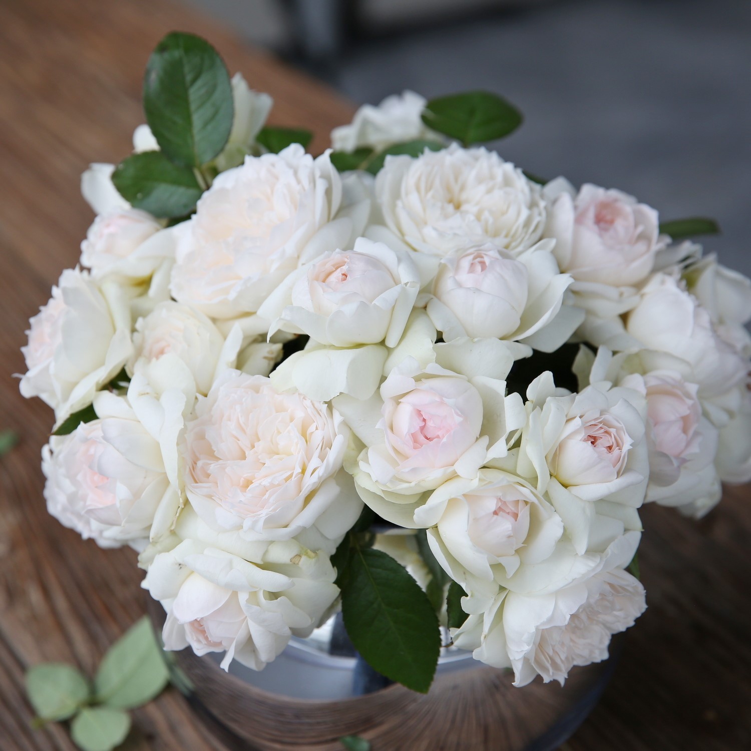 波莱罗/菠萝蜜白色丰花浓香