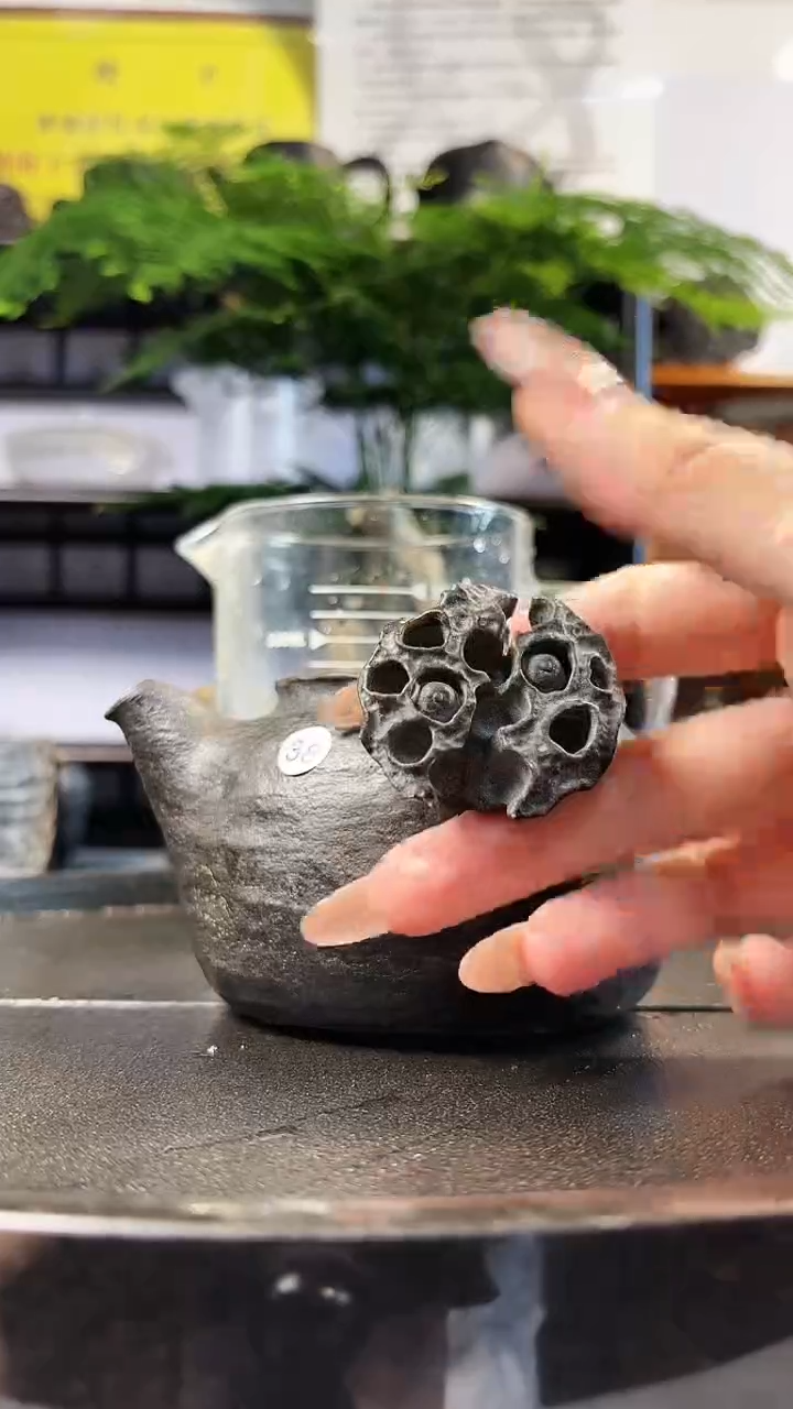 【闪购商品】冰碛喹齐白石虾趣壶