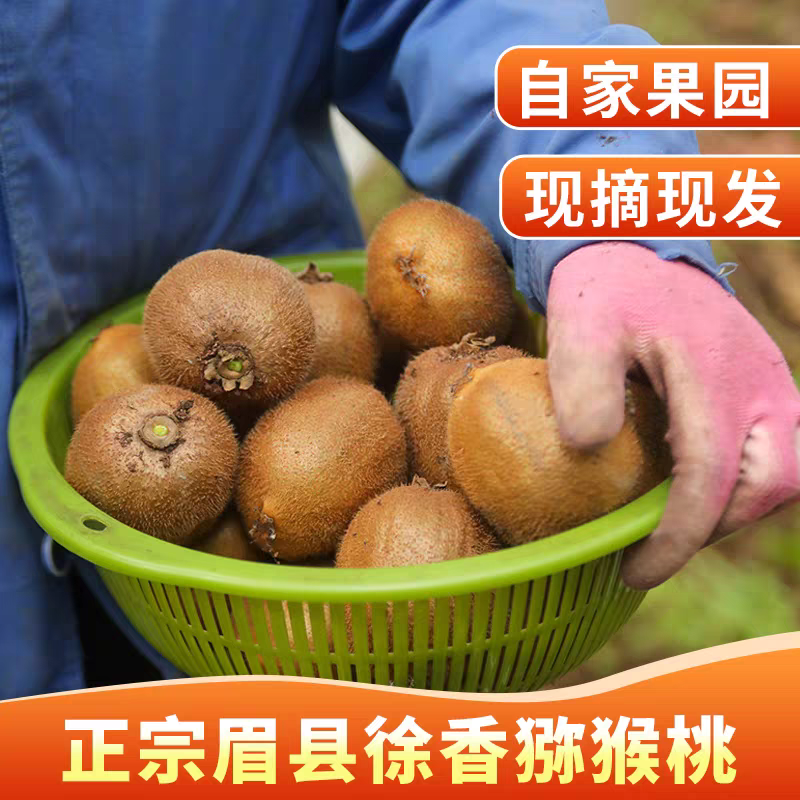 陕西眉县徐香绿心猕猴桃新鲜应季水果香甜软糯可口果园产地直发