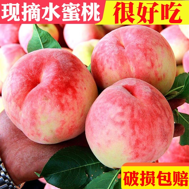 【脆蜜桃】新鲜现摘5斤脆甜多汁水蜜桃脆桃果园孕妈吃水果新鲜香甜