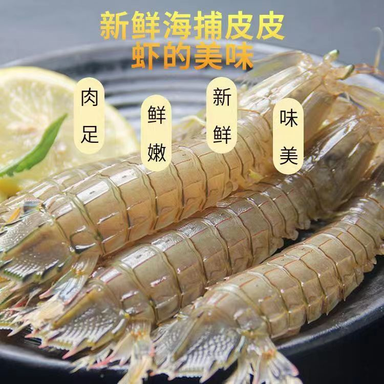 天然海捕皮皮虾 鲜嫩虾姑新鲜虾爬子濑尿虾鲜活水产