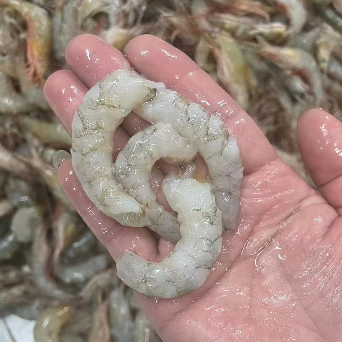 天然海捕野生卢虾虾仁鲜活现剥卢虾虾仁