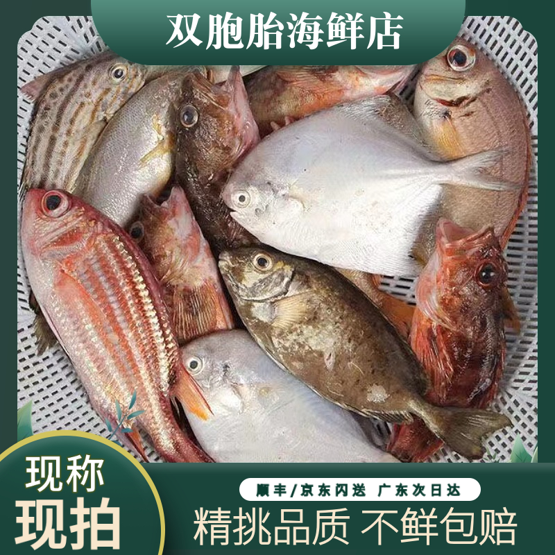 天然海捕海鱼杂鱼直播间现改现称链接