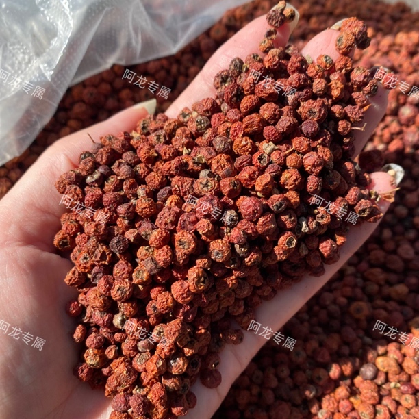 【土特产紫杉】果净含量250g-1500g