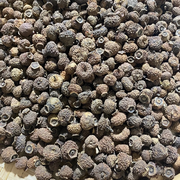 【土特产莿梨】果净含量500g