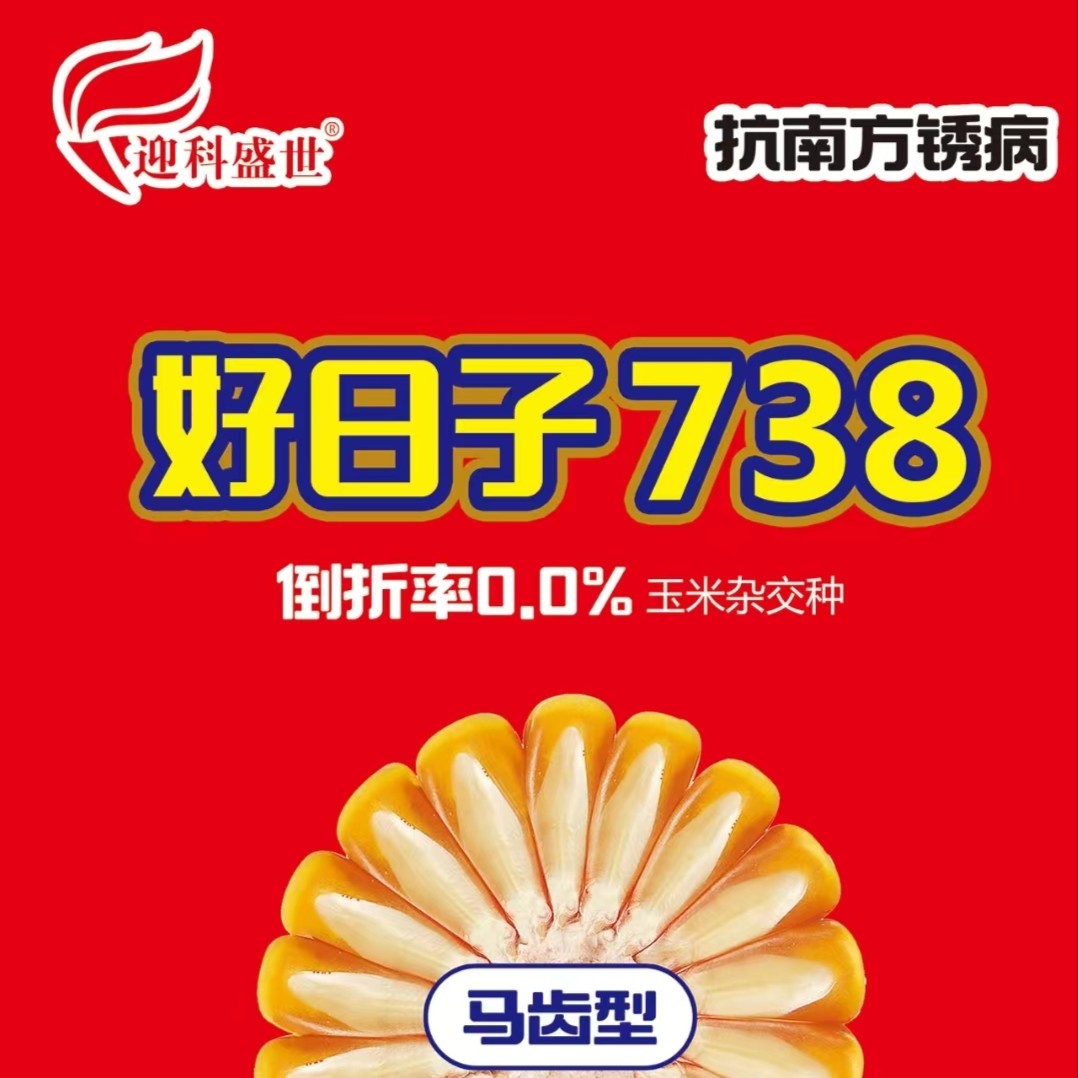 玉米