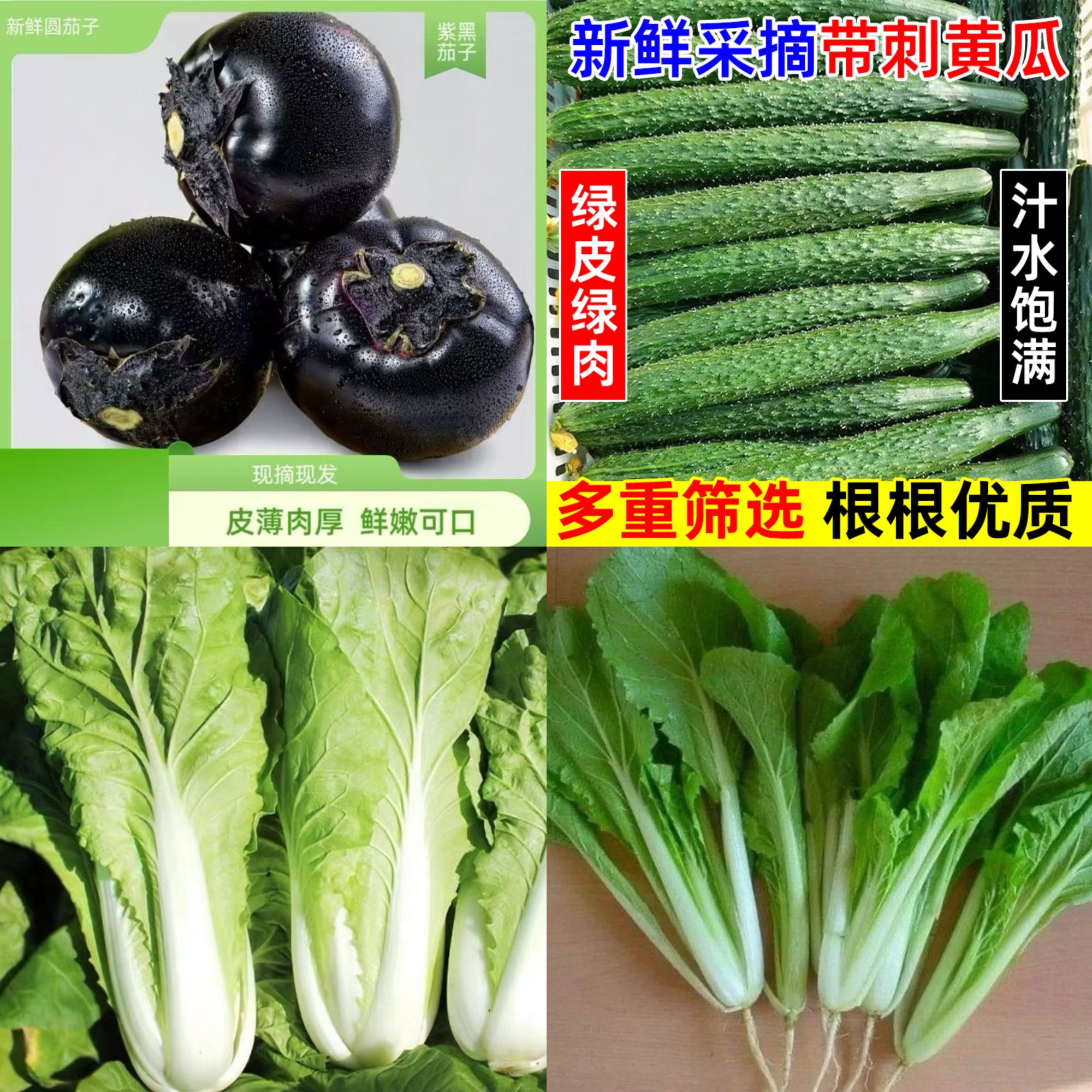 双街农产蔬菜套餐B （含大黄瓜2斤圆茄子2斤小白菜1斤快菜1斤）