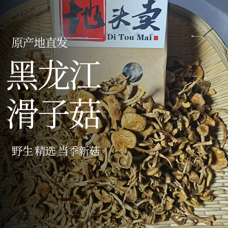 2025黑龙江初级农产品滑子菇 干货剪根菌菇