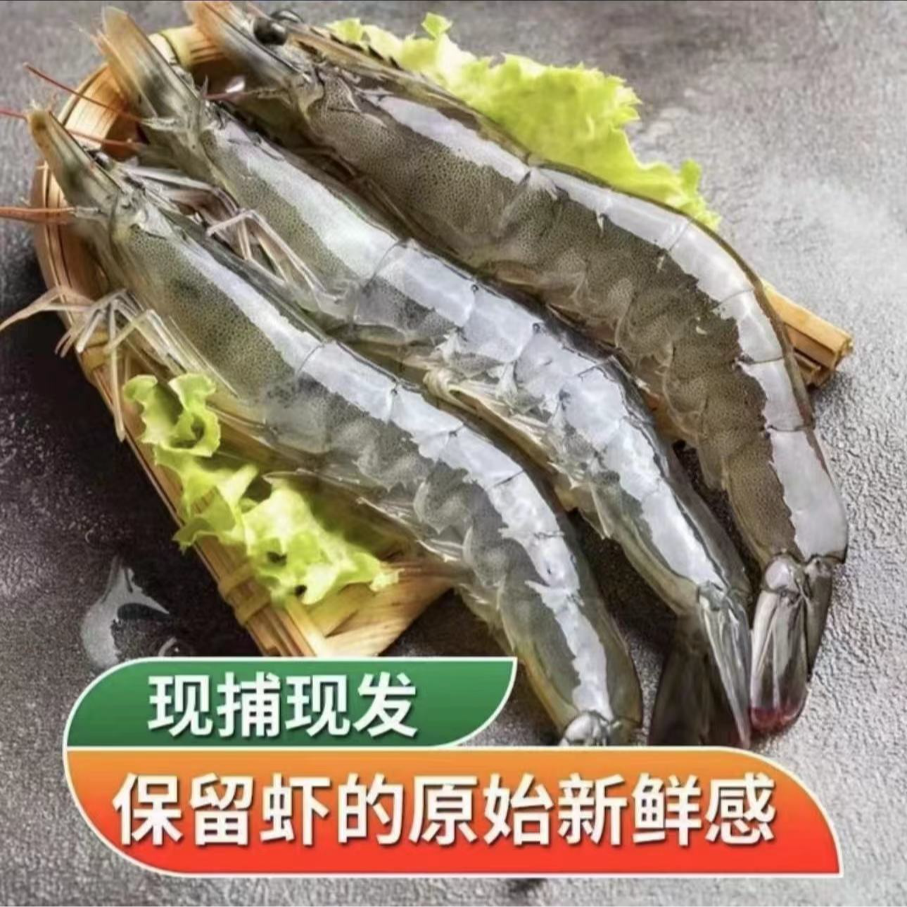 大号新鲜海洋海捕大虾5斤 速冻发货（单只13-16厘米，一斤12-15只）