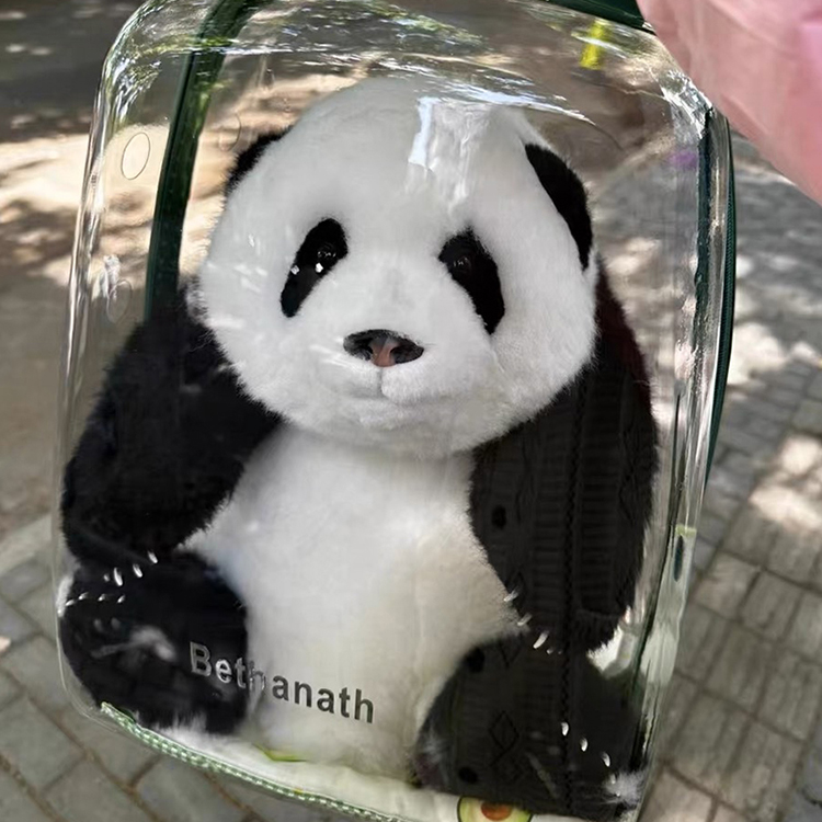【织偶熊猫】宠物背包透气全景大容量萌兰花花七仔外出背包和花和叶