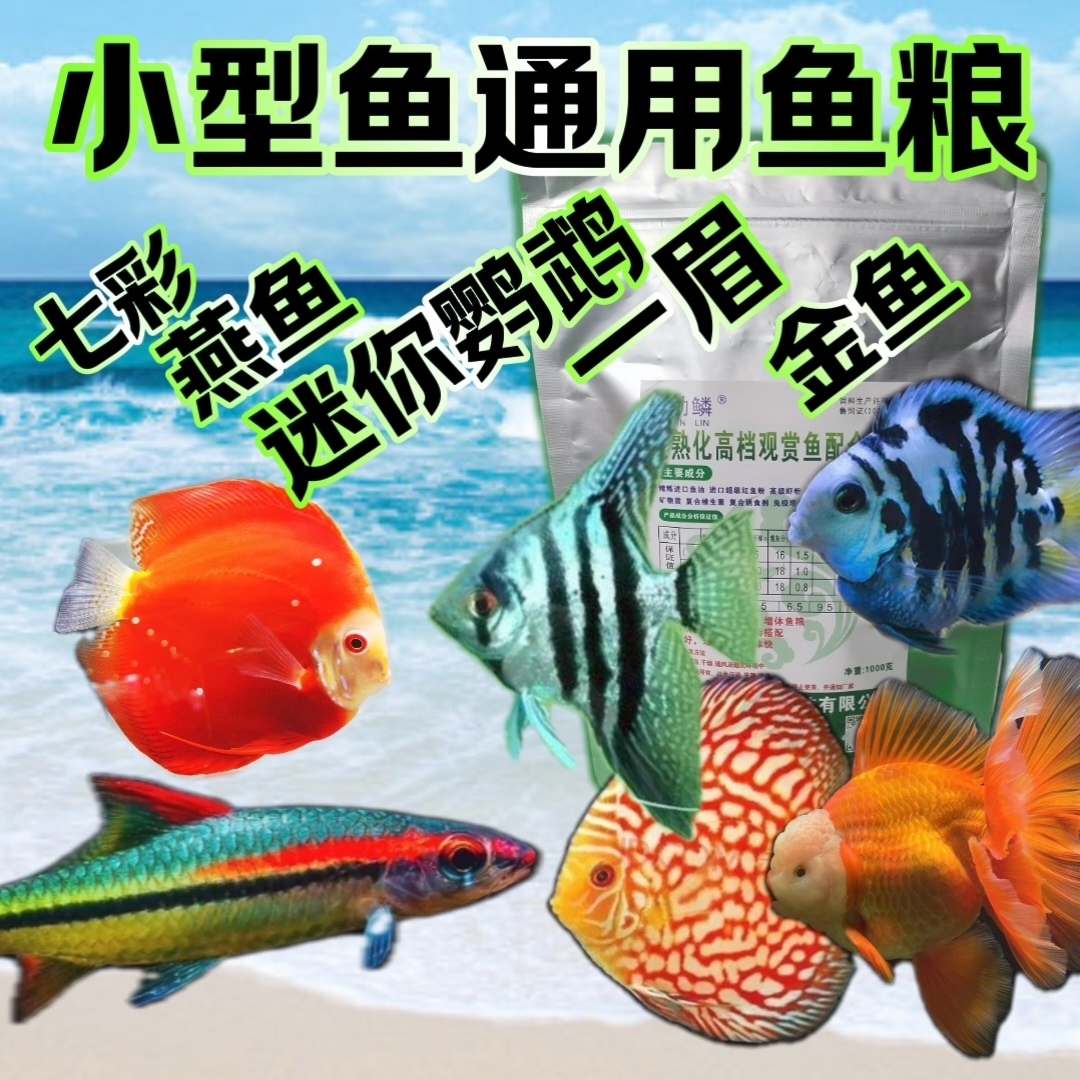 高蛋白小型观赏鱼粮（买一斤送一）下沉料