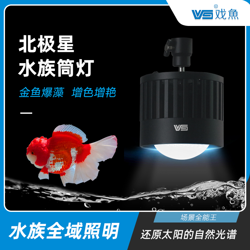 戏鱼北极星LED三基色锦鲤蝴蝶鲤金鱼泰狮兰寿爆藻迷你鱼缸筒灯 