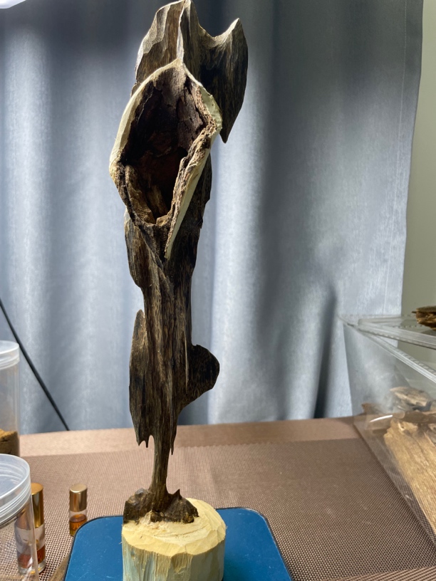 野生虎斑壳子摆件纯手工