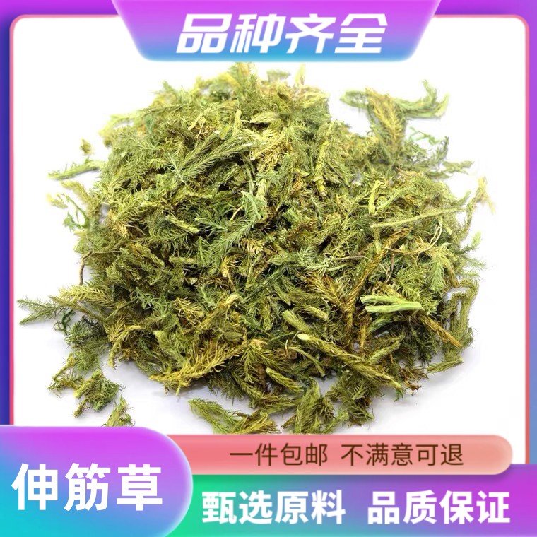 伸筋草正品舒筋草泡脚120克可搭远志益智仁非透骨草粉泡脚甘草