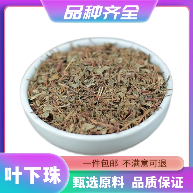叶下珠120g叶夏珠叶下朱珠仔草鱼鳞草珍珠草阴阳草油甘草干非甘草