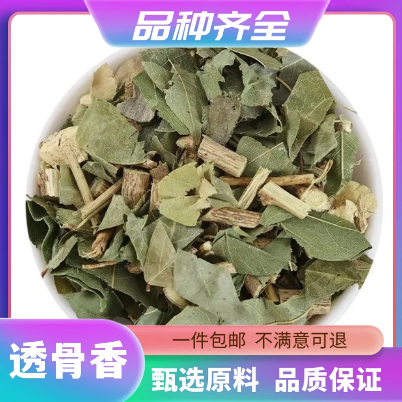 透骨香散装无硫干货云南白珠透骨草满山香散装搜山虎120克非甘草