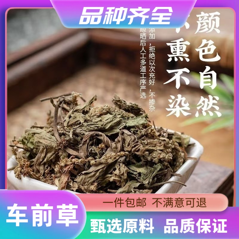 四川车前草新货晒干车前正品干货带穗无硫当道地胆头牛舌草