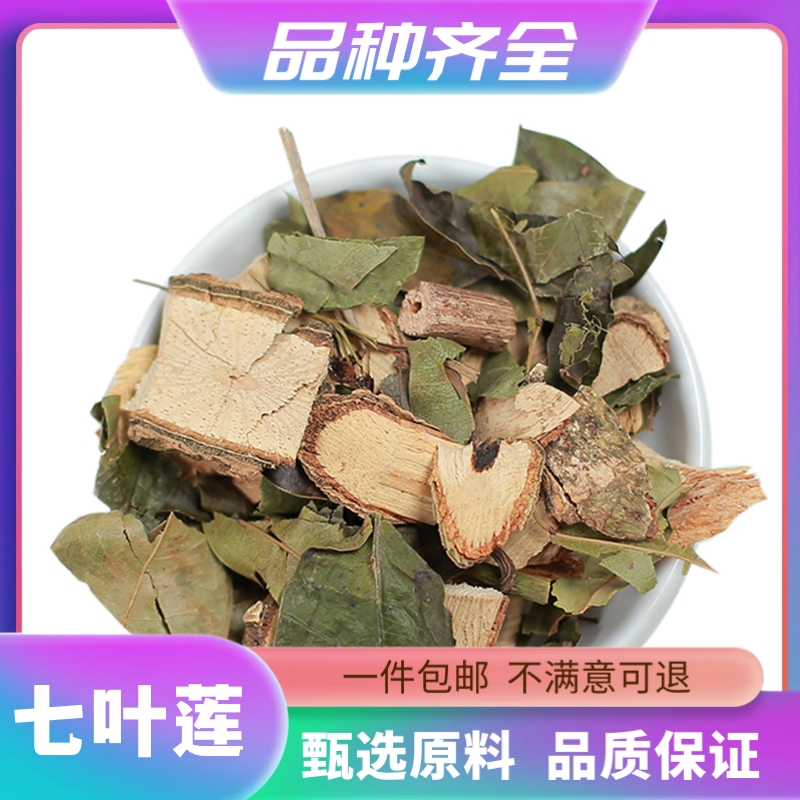 七叶莲 正品七叶连 汉桃叶七叶藤七加皮龙爪叶多蕊木鹅掌藤非百合