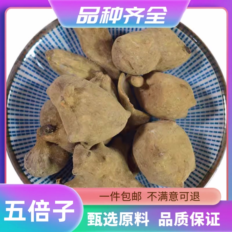 五倍子正品新货干粉120g精选百虫仓散装五棓子个无硫蛇床子非茯苓