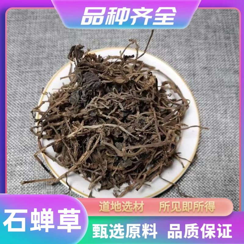 石蝉草 火伤叶 胡椒草包邮 散血胆120克石蝉草正品无硫非甘草