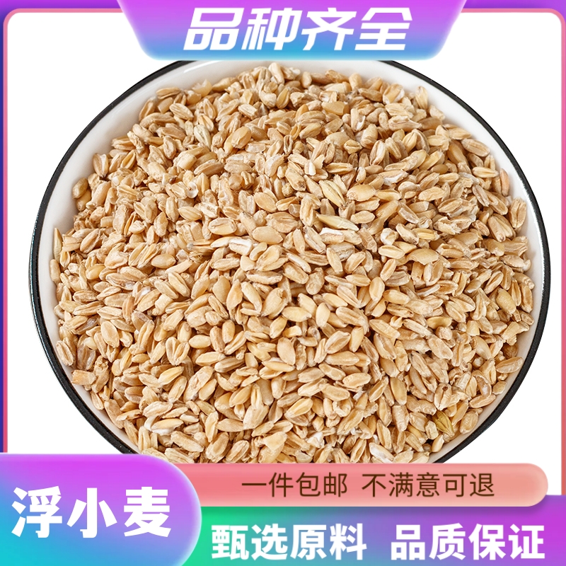 正宗浮麦浮小麦120g瘪小麦子未成熟小麦无硫淮小麦泡水熬粥非芡实