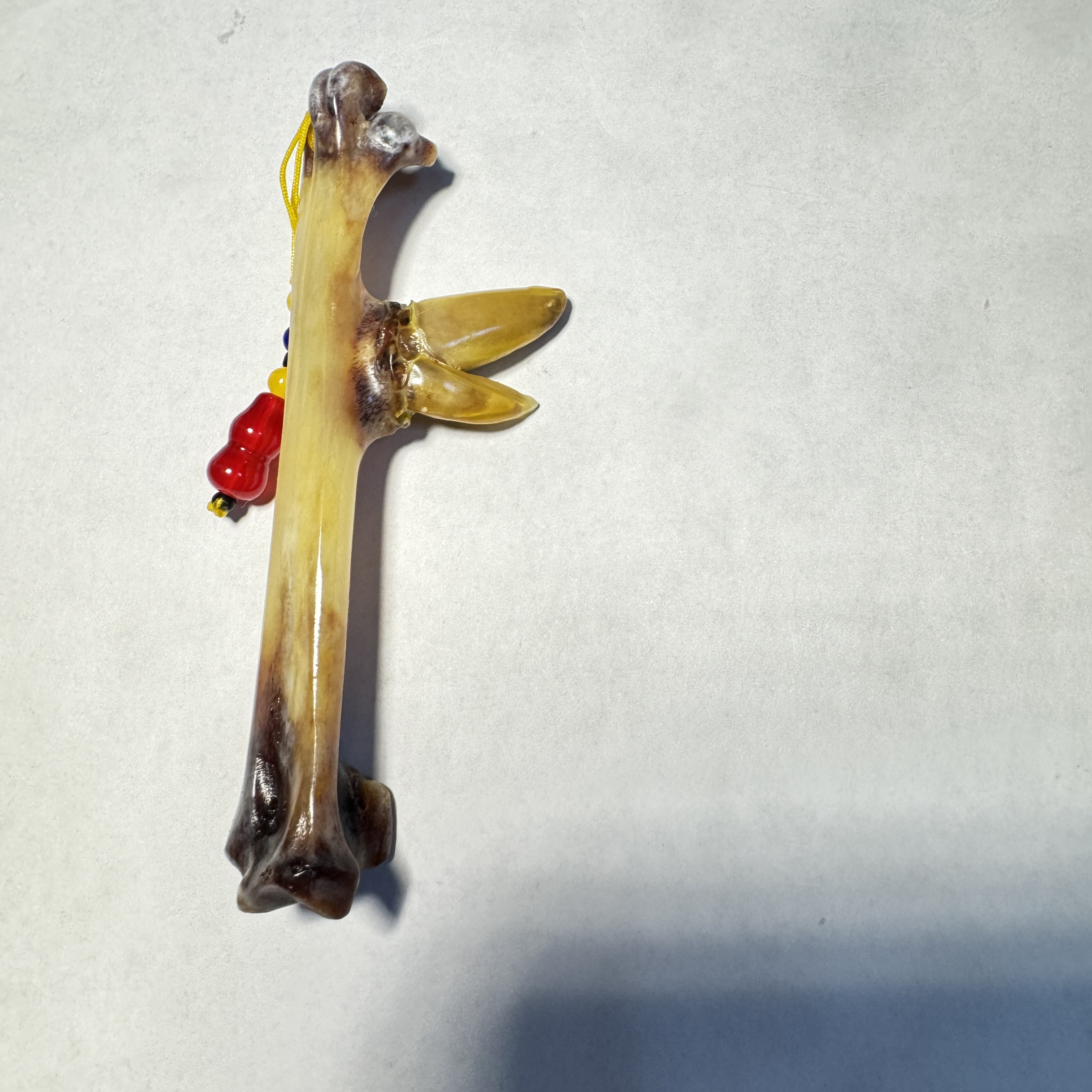 鸡爪骨工艺品，单只大骨双拐鸡爪骨