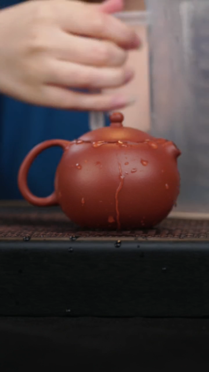【闪购商品】紫砂茶壶原矿紫泥河豚西施紫砂壶