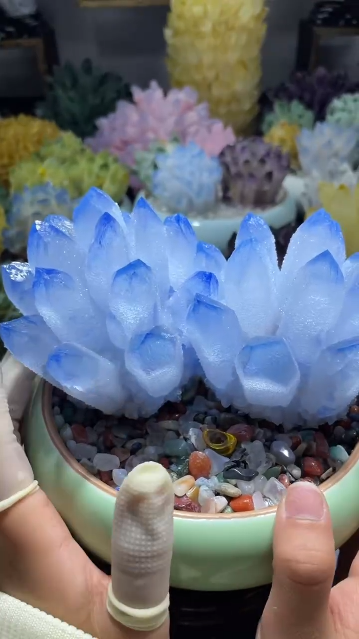 【闪购商品】双生蓝花花