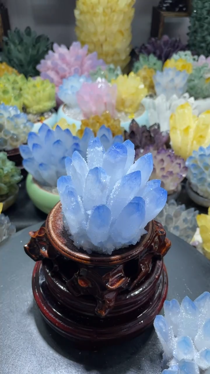 【闪购商品】蓝花花