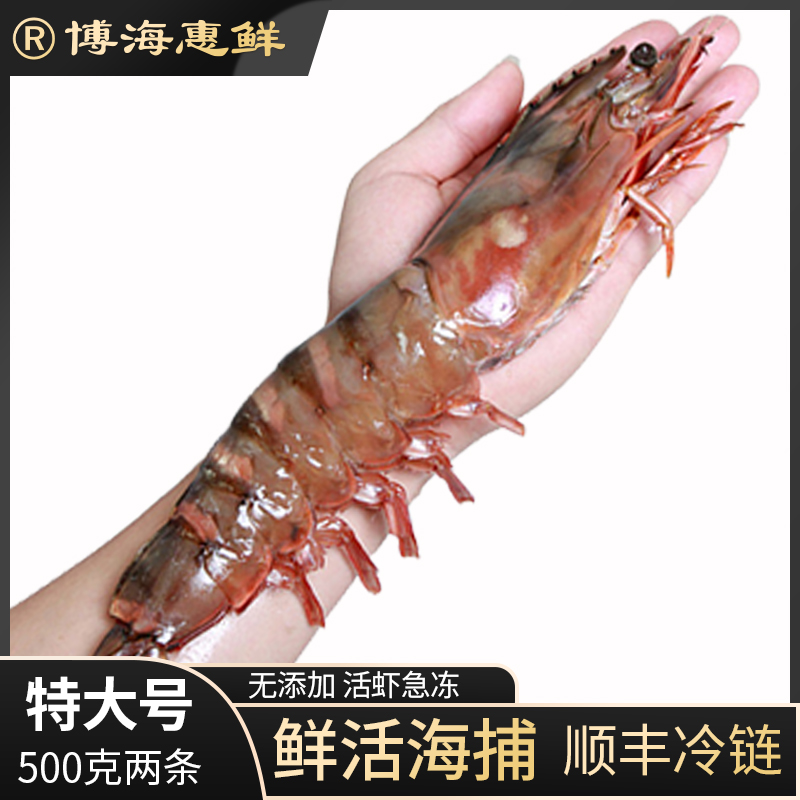 [视频同款特大号]新鲜黑虎虾冷冻野生海捕大虾特大号（500克2只）