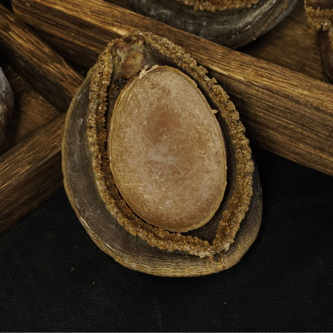 恒和堂9年6-13头辉煌双边日网鲍鱼实称