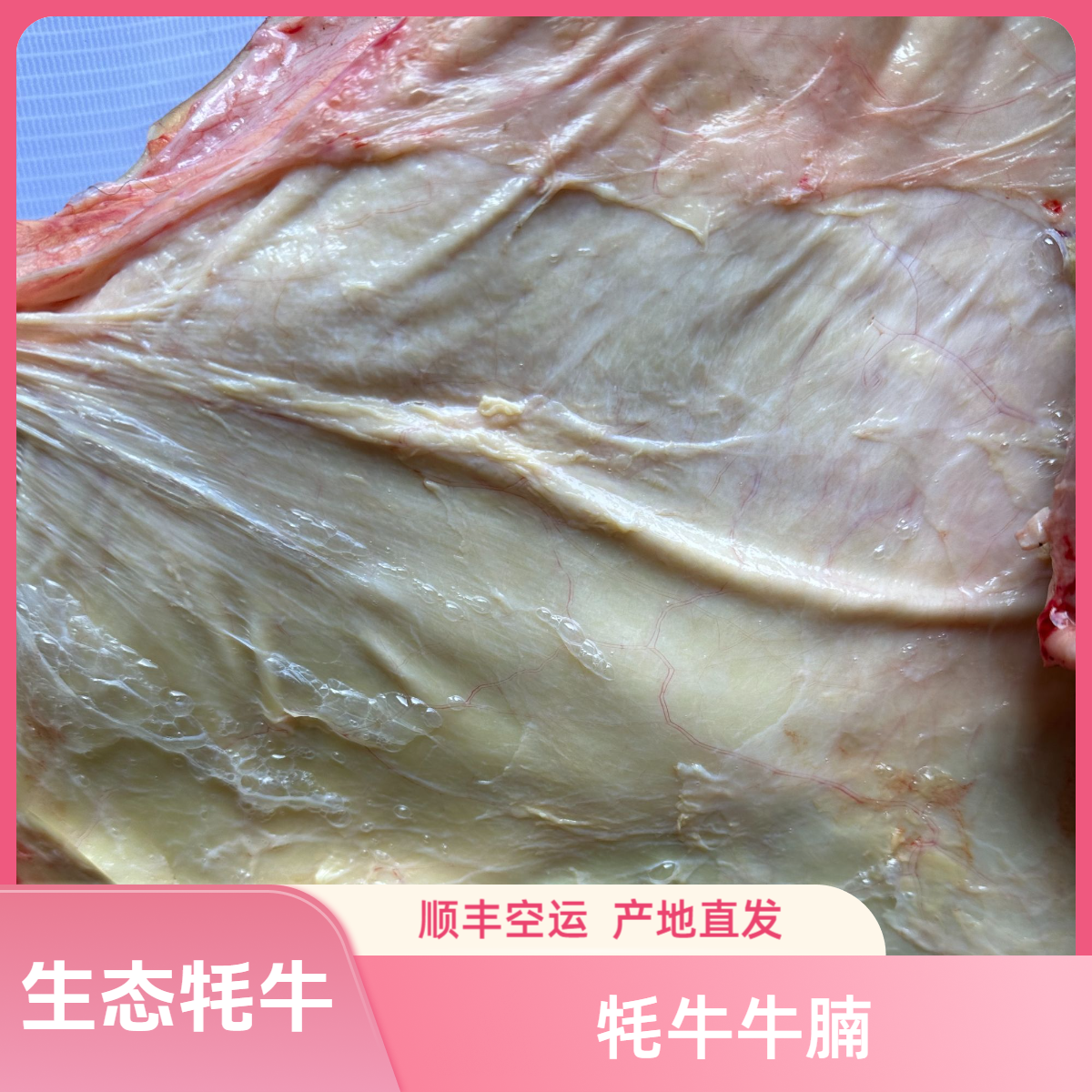 【牦牛牛腩】   顺丰空运   一物一拍  