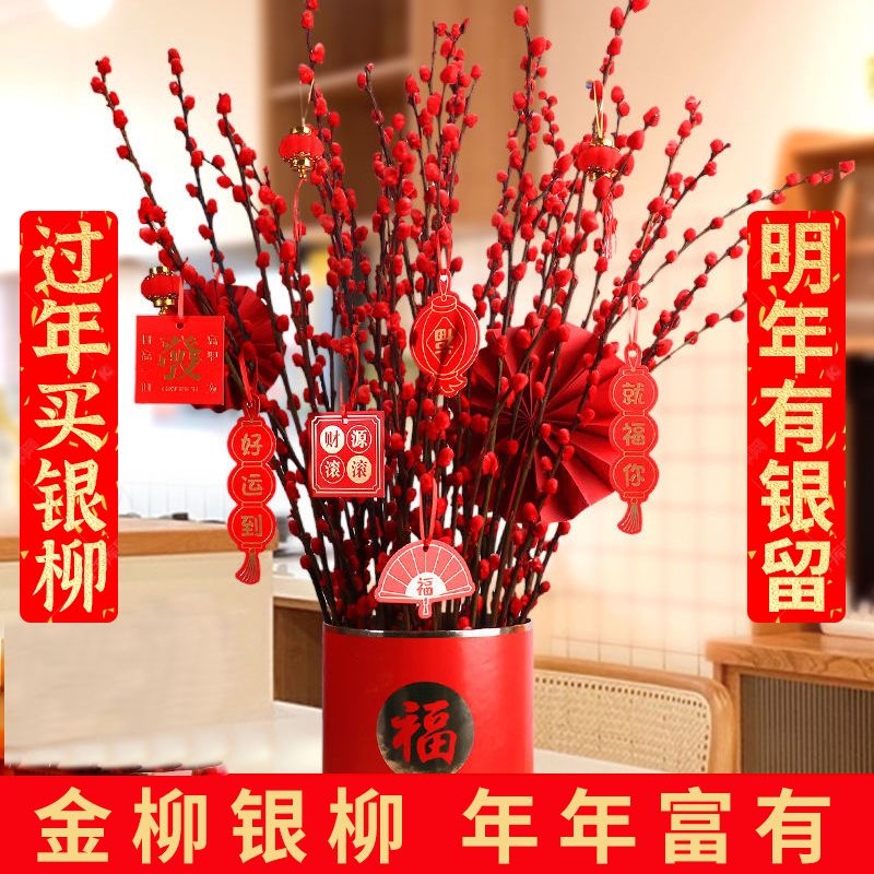 【当地热卖】红色的招才银柳干花真花鲜枝水培植物红色银柳新年摆放