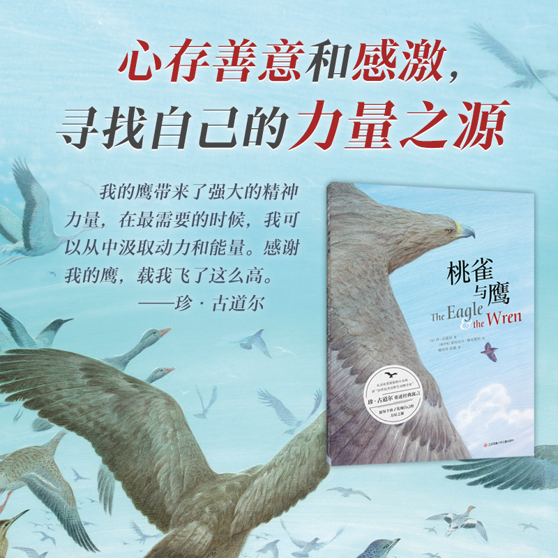 【爱心树】桃雀与鹰 珍·古道尔  自我认知 接纳个性 绘本