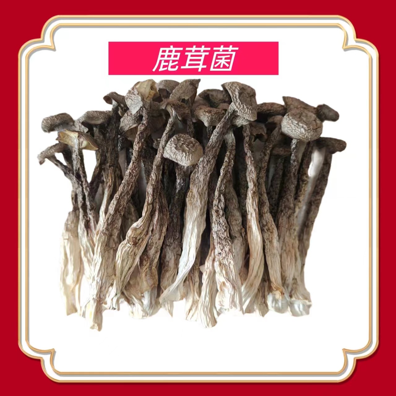 古田鹿茸菌菇250g煲汤爆炒香脆可口