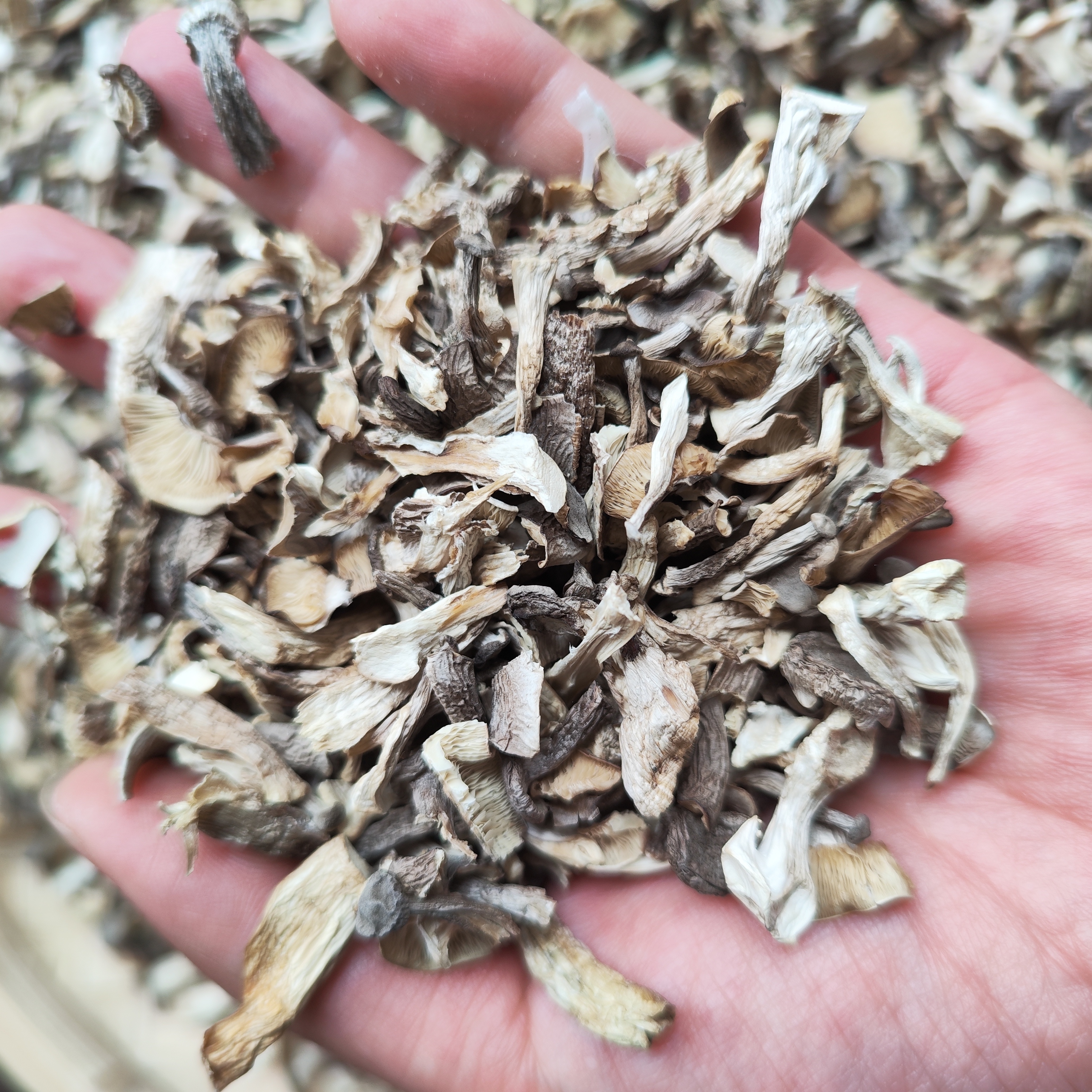 【虾米菇】净含量250g/500g