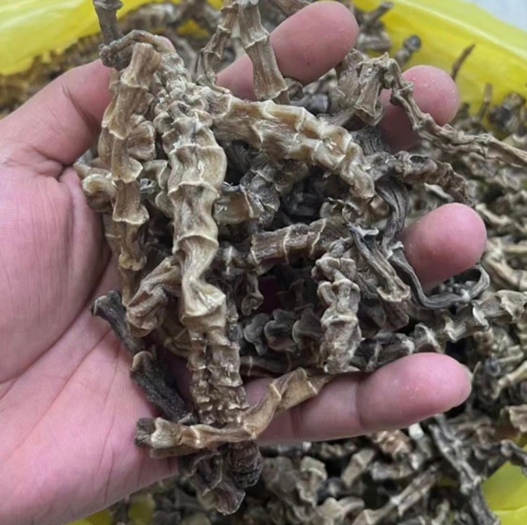 阿牛家【虫草参】500g