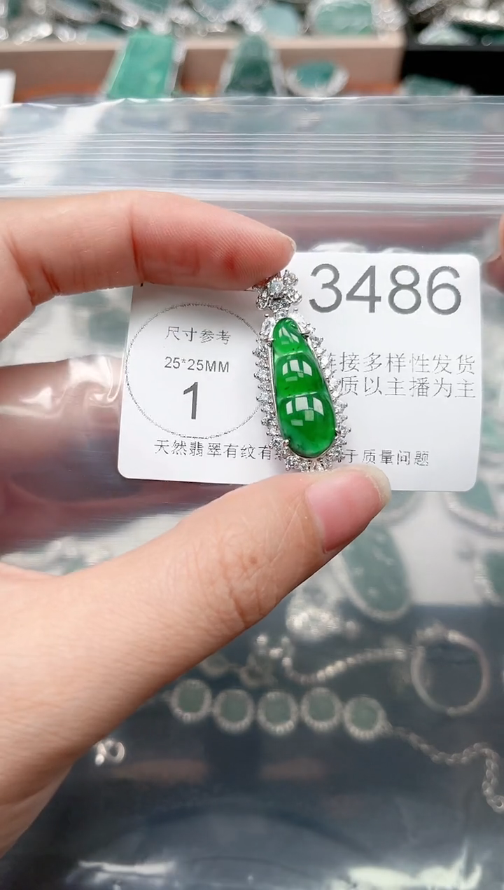 【闪购商品】翡翠颈饰未镶嵌3486(赠皮绳)